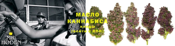 прущие грибы Балахна