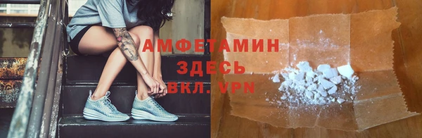 прущие грибы Балахна