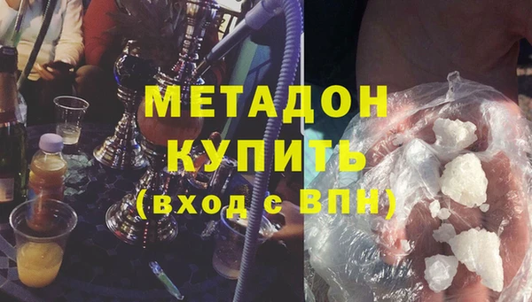 прущие грибы Балахна