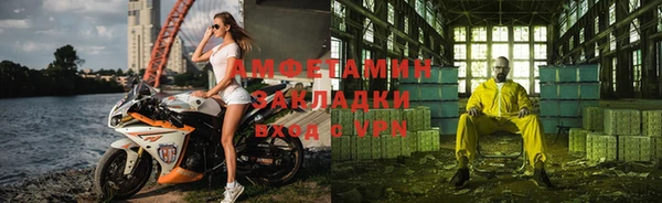 прущие грибы Балахна