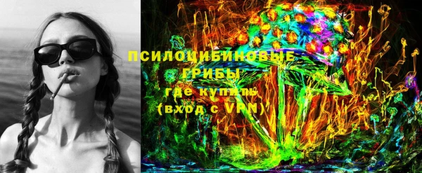 прущие грибы Балахна